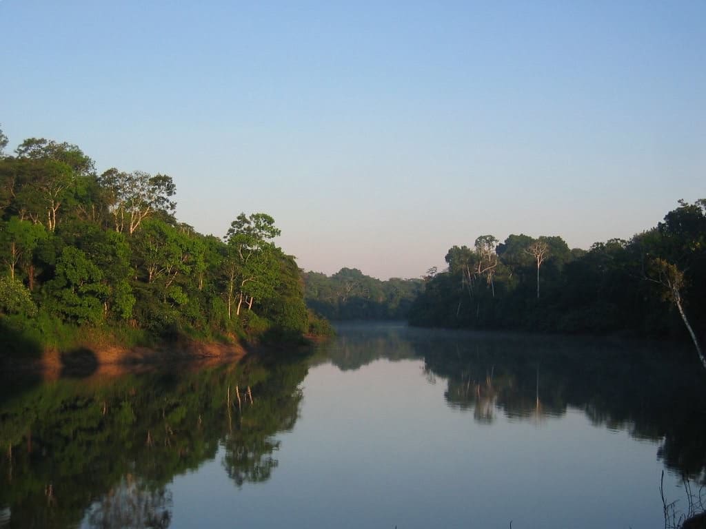 Poranek nad rzeką w amazońskiej dżungli