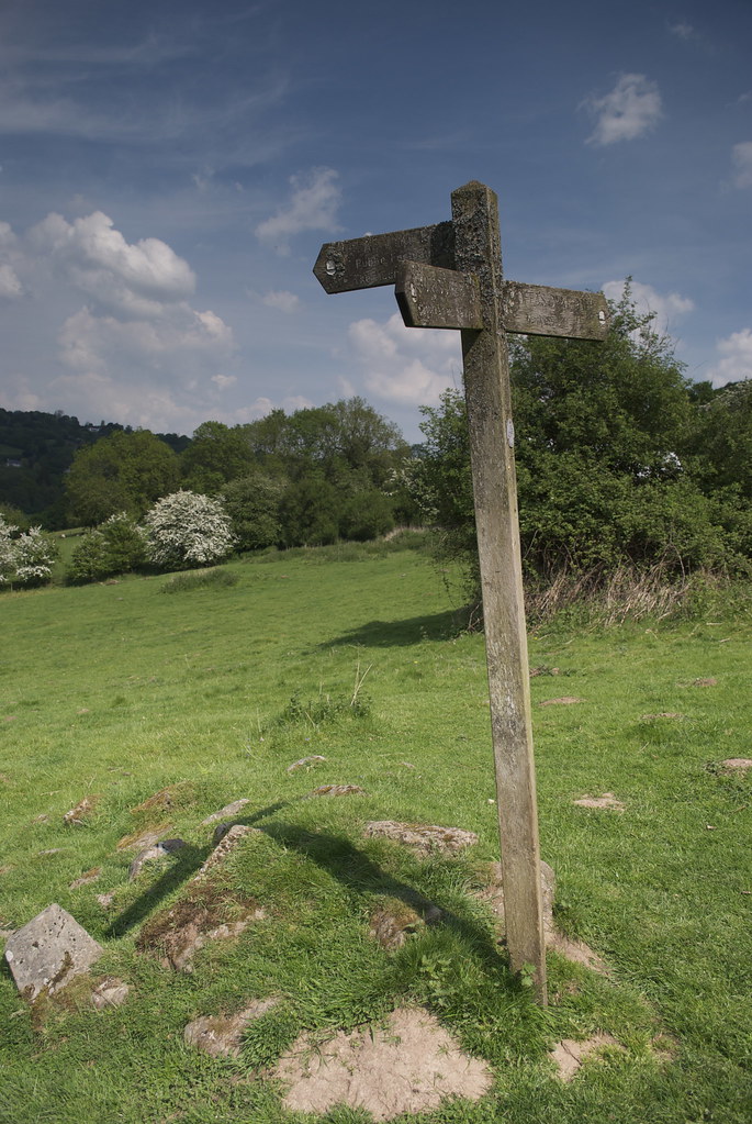 Drogowskaz na rozstaju ścieżek w polu — symbol wyboru własnej drogi